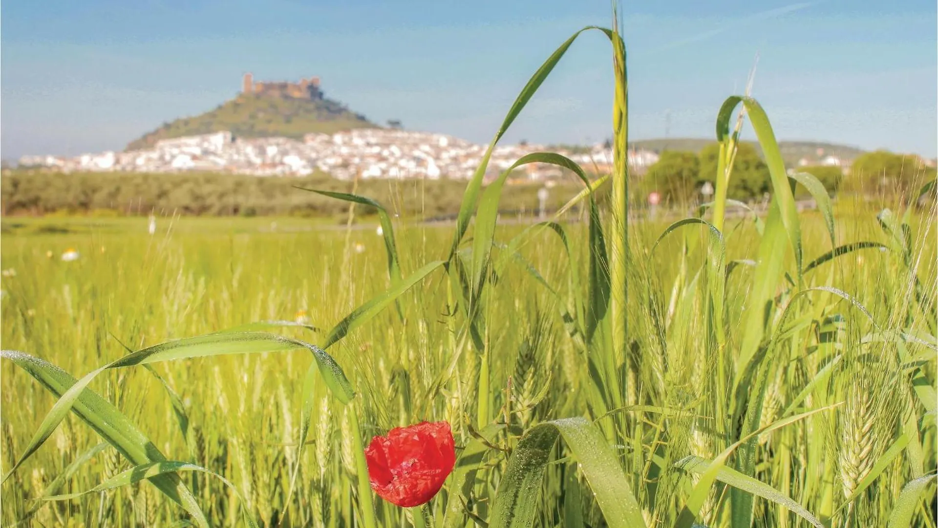 Holiday home Finca Villaseca Almodovar del Rio